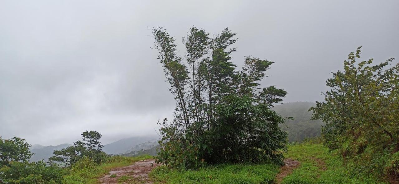 Coorg Mountain Chain Homestay Madikeri Buitenkant foto